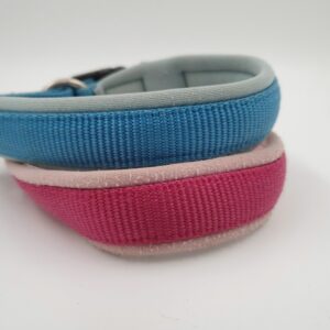Hundehalsband Wolters Professional Comfort, 39 - 42 x 2,5 cm aqua/azur oder himbeer/rose