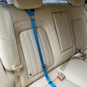 Onesize Autogurt OrcaJump, hellblau, zweifach einstellbar