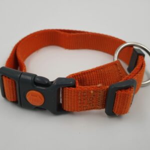 Hundehalsband Orange, 34 - 54 x 2 cm, mit Schlossverriegelung