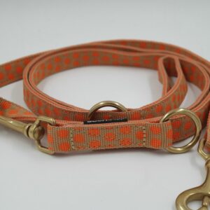 Hundeleine Suchtrupp Dots Golden, beige-orange, 3fach verstellbar, 2 Meter