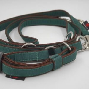 Set aus Hundehalsband mit Leine British Racing Green, Umfang 25 - 35 cm, Leine 200 cm